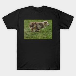 Dog running T-Shirt